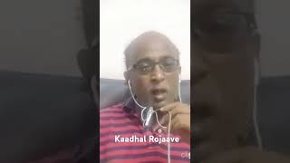 Kaadhal rojave  from Roja Sung by SPB [upl. by Sylvan]