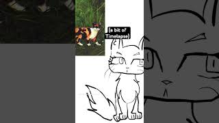 drawing tawnypelt artist [upl. by Assanav25]