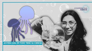 CienciaConEllas Javiera Leal El fascinante mundo de las medusas [upl. by Belding106]