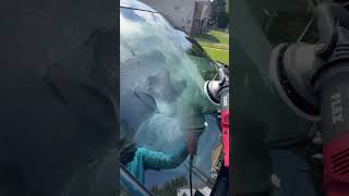 Watch Crystal Clear Windshield Polish WindshieldPolish CarDetailing CrystalClear GlassCleaning [upl. by Bloom]