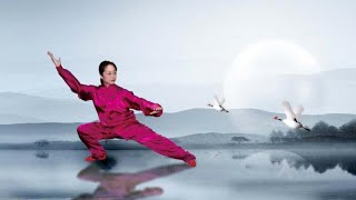 Gao Jiamin 24 Forms Taijiquan [upl. by Bryana447]