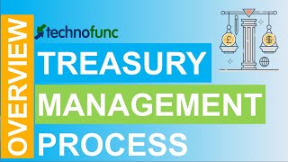 Introduction to Treasury Management Process [upl. by Anilac995]