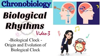 Part3 Biological ClockOrigin And Evolution of Biological ClockChronobiologyBiological Rhythms [upl. by Ettenrahs]