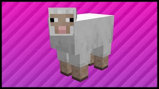 Minecraft Sheep Where To Find Sheep In Minecraft [upl. by Aedrahs857]