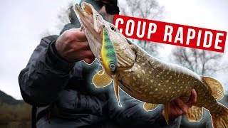 Comment pêcher le brochet ULTRA RAPIDEMENT [upl. by Radmilla85]