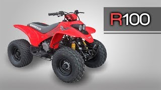 Quadzilla R100  Overview [upl. by Fernandes]