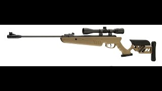 Swiss Arms TG 1 177 Cal 1400FPS Pellet Rifle Review [upl. by Liamaj]