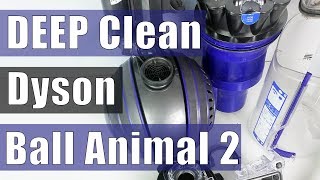 Dyson Ball Animal 2  DEEP CLEAN  Restore Suction  Troubleshooting [upl. by Hesoj]