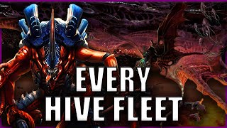 Every Single Tyranid Hive Fleet EXPLAINED By An Australian  Warhammer 40k Lore [upl. by Allcot]