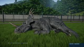 Jurassic World Evolution Styracosaurus sleeping behaviour [upl. by Edward451]