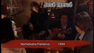 José Mercé  Los Campanilleros de MTorre  Nochebuena Flamenca 1994 [upl. by Rosenbaum]