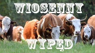 Wiosenny wypęd [upl. by Yevi]