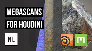 Megascans for Houdini [upl. by Kere]