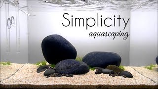 Aquascaping GAME OF RIVER STONE SIMPLICITY [upl. by Ahsiruam]