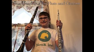 Comparison of the Flute and Clarinet [upl. by Emogene]