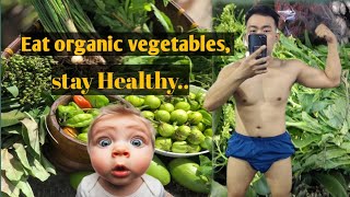 Nagaland organic vegetables Adarsh Nagar Wadgaon SheriPune Maharashtra [upl. by Akelam525]