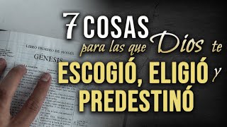 7 Cosas para las cuales Dios te ha ELEGIDO ESCOGIDO y PREDESTINADO [upl. by Standing]