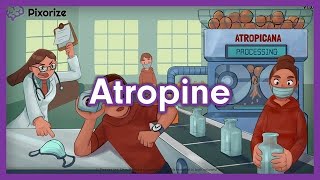 Atropine Homatropine Tropicamide Mnemonic for USMLE [upl. by Maggy112]