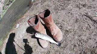 Offgrid Life ep7 Trout at John Dunn Bridge Arryo Hondo New Mexico [upl. by Elyse]