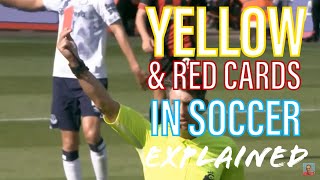 Yellow amp Red Cards In Soccer [upl. by Nnaytsirk]