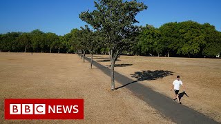 Drought officially declared in parts of England during UK heatwave – BBC News [upl. by Yanetruoc34]