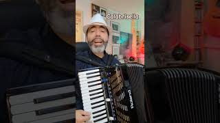 Calabrisella mia  Folk Song Italy accordeon musica italianfolksong fisarmonica Calabria [upl. by Sabba669]