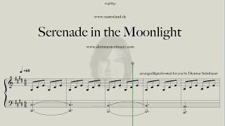 Serenade in the Moonlight [upl. by Andromeda]