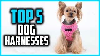 ✅Top 5 Best Dog Harnesses in 2024 [upl. by Clava]