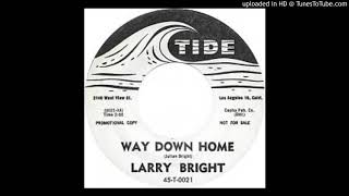 LARRY BRIGHT WAY DOWN HOME [upl. by Anaihsat]