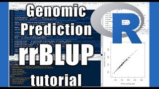 rrBLUP Genomic Prediction Tutorial [upl. by Anah]