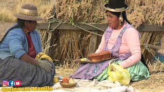 QUEQUE DE ZANAHORIA AL HORNO CASERO  COCINA CON MAMILA [upl. by Mckale730]