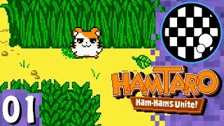 Hamtaro Ham Hams Unite  PART 1 [upl. by Laith]