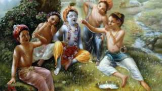 Hare Krishna Vaiyasaki das [upl. by Tyrus673]