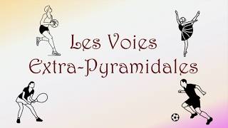 Neurofacile 8  Les voies extrapyramidales [upl. by Adnilreb121]