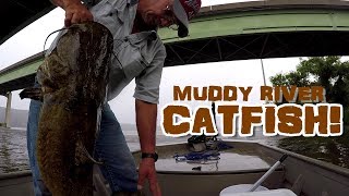 BIG FLATHEAD Muddy River Catfishing Rig  Setup [upl. by Tace]