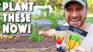 Zone 8 Fall Garden  10 Vegetables To Plant Now [upl. by Edorej]