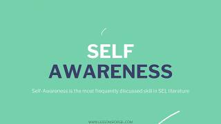 SEL SelfAwareness Lesson Gerod [upl. by Dnomse1]