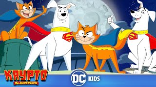 Krypto The Superdog  Krypto And Streaky Save The Day  dckids [upl. by Ygiaf231]