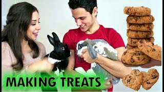 DIY Bunny Treats and Bini meets Lennon the Bunny [upl. by Ahseel]