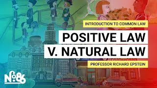 Positive Law v Natural Law Introduction to Common Law [upl. by Cowden]