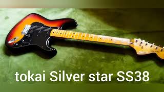 TOKAI Silver star SS38 [upl. by Hurlbut]