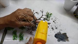 How to make mangrove tree diorama 135 [upl. by Ayaet94]