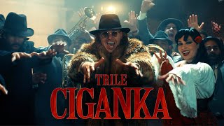 TRILE  CIGANKA OFFICIAL VIDEO [upl. by Nnayllas]