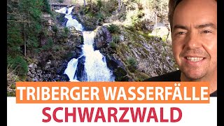 Triberger Wasserfälle  Ausflugsziele Schwarzwald [upl. by Roberto]