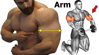 14 Best Workout To Get Big And Perfect Arms [upl. by Bleier986]