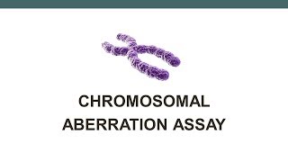 Chromosomal Aberration assay [upl. by Gael]