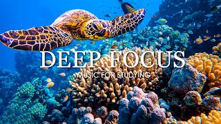 Deep Focus Music To Improve Concentration  11 Hours of Ambient Study Music to Concentrate 13 [upl. by Renault]