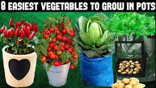 Top 8 Easy To Grow Vegetables For BeginnersSEED TO HARVEST [upl. by Nickolaus537]