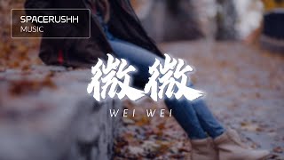 微微 Wei Wei  傅如乔 Fu Ru Qiao 拼音 PINYIN LYRICS [upl. by Ovid]