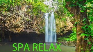 Relaxing Spa Music Meditation Healing Stress Relief Sleep Music Yoga Sleep Zen Spa ☯277 [upl. by Nairrod]